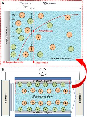 Zeta Potential Measurements on Solid Surfaces for in Vitro Biomaterials Testing: Surface Charge, Reactivity Upon Contact With Fluids and Protein Absorption